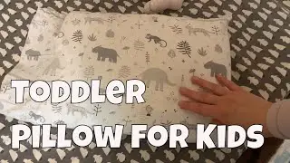Mini Toddler Pillow for Kids and Case Set - 2 Years Later Quality Check