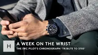 The IWC Pilot&rsquo;s Chronograph &lsquo;Tribute To 3705&rsquo;: An Homage To A Cult Classic | A Week On The Wrist