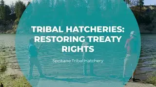 Tribal Hatcheries: Restoring Treaty Rights | Spokane Tribal Hatchery | Tomorrow's Catch