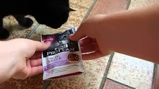 PRO PLAN&reg; DELICATE Nassfutter
