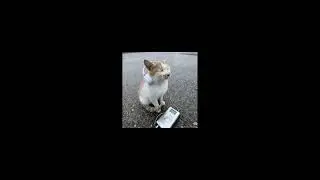 Random edit audios I found on TikTok part 3