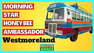 ЯМАЙСКИЕ СТАРИННЫЕ АВТОБУСЫ ИЗ УЭСТМОРЛЕНДА - MORNING STAR, AMBASSADOR, SOS, HONEY BEE, RED ROSE.