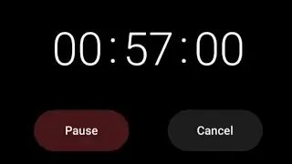 57 minutes timer  | Golden Timer #shorts #countdown #time