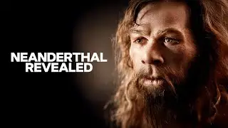What We&rsquo;ve Learned From the First Neanderthal Bones