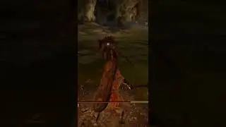 Finally...Found The Best ONE!!!!!     | Elden Ring 1.05  #EldenRing #Gaming #Shorts