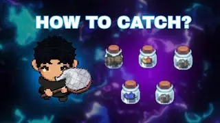 Bug Catching Guide | Etherion Online