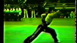 中国武術　南拳 Nanquan　１９８１年　邱建国 Qiu jian guo