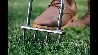 Easy way to Manually Core Aerate a Lawn