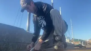 Catching MONSTER cunners fishing in Bedford basin
