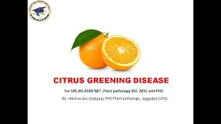 CITRUS GREENING DISEASE