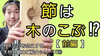 節は木のたんこぶ！？【節とは何かご紹介します】前編【材木店がお伝えする木材の魅力ご紹介シリーズ⑩】