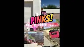 Affordable Waste Pick Up in the #valley