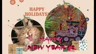 HAPPY NEW YEAR p1/ Funny animals, cats, raccoons, dogs 2021