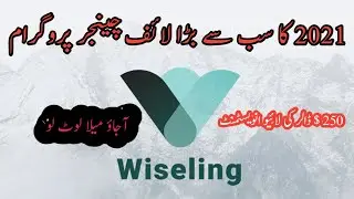 Live Investment 250$ in wiseling. 2021.