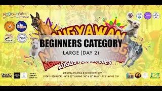 Beginners Dog Agility - Large