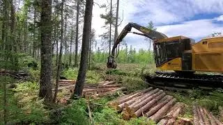 Tigercat 855