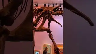 Royal Saskatchewan Museum