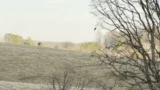 1-4-26 TN Deer Season Closing Day