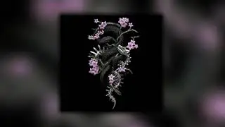 [FREE] Lil Skies Type Beat 