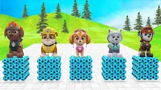 Cow Mammoth Elephant Tiger PAW Patrol Cross The All Obstacles & Slide On Ramp & Float With Shark