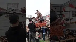 karnaval 17san