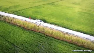 Fly down by RGB