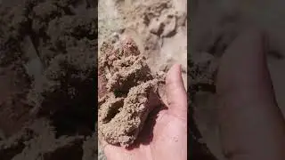 Difference between washed sand and river sand