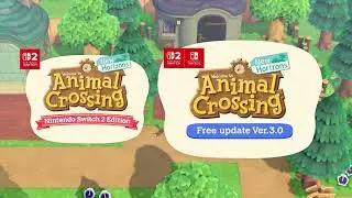 ACNH Free Treasure Island Dodo Codes 2026 That Always Open (3.0 Update)
