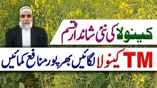 New Variety of Canola || TM Canola || Crop Reformer