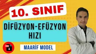 DİF&Uuml;ZYON HIZI + PDF 📂 | KİMYA 10. SINIF MAARİF MODEL | ERSEN ELG&Uuml;N #kimya #kimya10 #10sınıfkimya 
