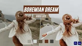 Bohemian Dream Video LUT's for Premiere Pro & After Effects and FREE mobile app | 123luts.com