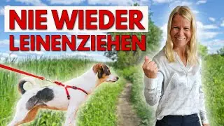 Leinenziehen l&ouml;sen &ndash; diese 2 Schritte musst du beachten!