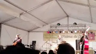 Black Cats, brand new callidac cover