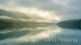 Relaxing Rain Sounds 🌧️ | Deep Sleep & Stress Relief