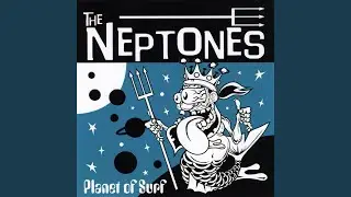 Planet of Surf