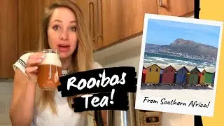 SPILLING THE TEA on SOUTHERN AFRICA 🇿🇦🇿🇼(ROOIBOS TEA and TRAVEL STORIES!)
