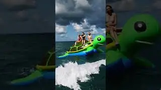 AI Turtle pool toy ride