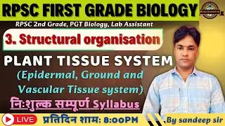 RPSC 1st Grade Biology 2025 | UNIT -III | Structural Organization in Plants | Plant Tissue System