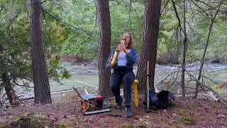 Cozy Forest Saxophone Meditation (Yellow Bench Sessions Ep. 1) 