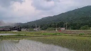 【夏の風物詩？】SLばんえつ物語（新津行き） 猿和田～馬下間