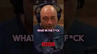 JOE ROGAN ON GAME OF THRONES ENDING😨