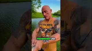 Fake Fish That Swims Like a Real One | Smart Fishing Gadget Explained  #FishermenTools #usashorts