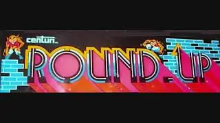 Round-Up, 1981 Amenip/Centuri/Taito