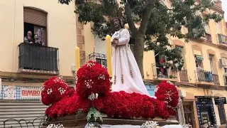 Procesión Jesús Cautivo (Chico) y Virgen de la Trinidad. Colegio Bergamín. Semana Santa Málaga 2024