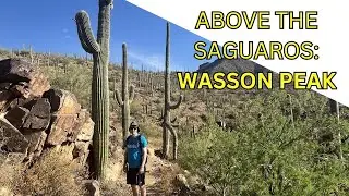 Wasson Peak Hike Loop: Kings Canyon & Hugh Norris Trail | Saguaro National Park West Best Day Hike