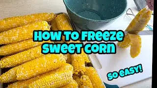 How to Freeze Sweet Corn, so easy! 🌽