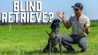 Blind Retrieve With A GSP? - Try This Modification