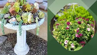 Easy Ways to Add Color to Your Garden | Garden Design Tips