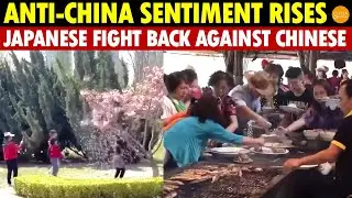 Anti-China Sentiment Soars in Japan! Locals Finally Take Action Against Chinese Tourist Misbehavior