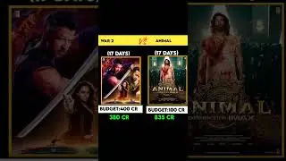 animal 17 days worldwide box office collection|war 2 17 days worldwide box office collection#shorts